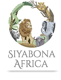http://gorilla.safari.co.za