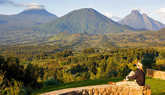 Parc des Volcans in Rwanda.